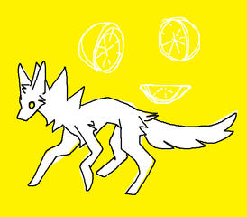 lemon dog